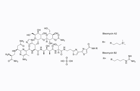 硫酸博來霉素,Bleomycin sulfate