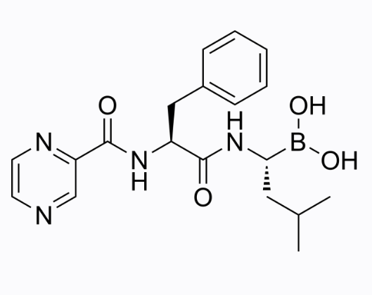 硼替佐米,Bortezomib