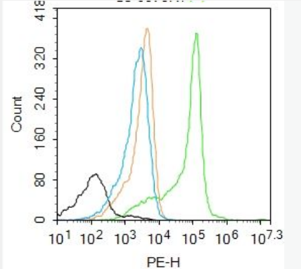 Anti-S100A7 antibody-S100钙结合蛋白A7抗体,S100A7