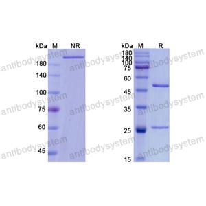 Research Grade Tesidolumab