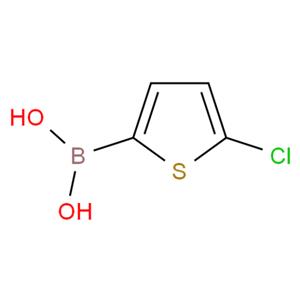 5-氯噻吩-2-硼酸