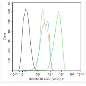 Anti-phospho-NFATc2 (Ser326) antibody-磷酸化核因子活化T细胞胞浆蛋白2抗体