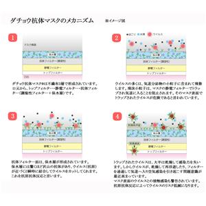 牙本质基质蛋白1蛋白,DMP1 Protein