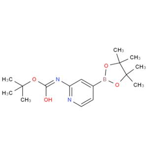 2-(叔丁氧基羰基氨基)吡啶-4-硼酸频那醇酯