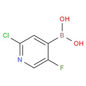 2-氯-5-氟吡啶-4-硼酸