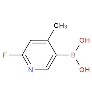 2-氟-4-甲基吡啶-5-硼酸,2-FLUORO-4-METHYLPYRIDINE-5-BORONIC ACID