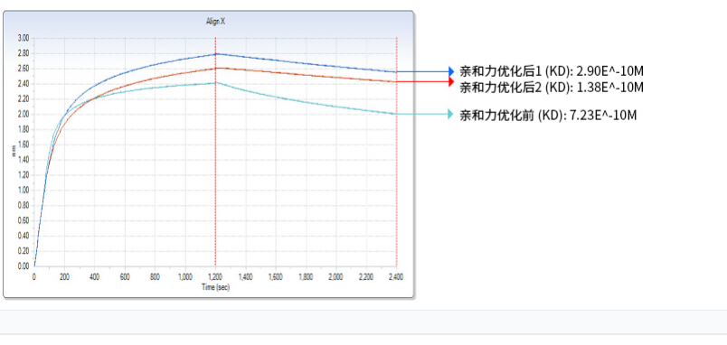 抗體親和力成熟,Antibody Affinity Maturation Service