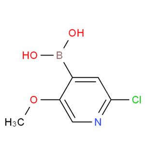 B-(2-氯-5-甲氧基-4-吡啶基)-硼酸