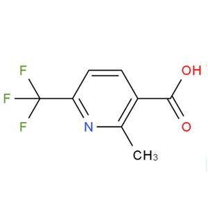 2-甲基-6-三氟甲基吡啶-3-羧酸,2-METHYL-6-(TRIFLUOROMETHYL)NICOTINIC ACID