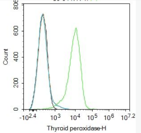 Anti-Angiopoietin 4 antibody-血管生成素3/血管生成素4抗体,Angiopoietin 4