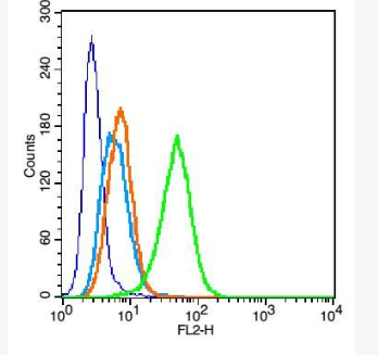 Anti-CD11a antibody-整合素αL抗體,CD11a