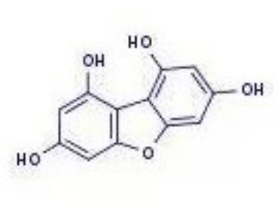 1,3,7,9-tetrahydroxybenzofuran,1,3,7,9-tetrahydroxybenzofuran