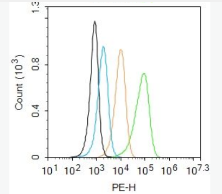 Anti-GPR14 antibody-G蛋白偶联受体14抗体,GPR14