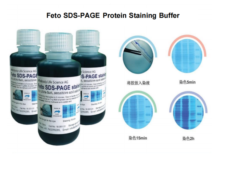 Feto Protein Staining Buffer