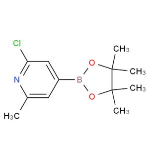 2-氯-6-甲基吡啶-4-硼酸频哪醇酯