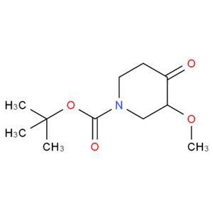 3-甲氧基-4-氧代哌啶-1-羧酸叔丁酯,tert-butyl 3-methoxy-4-oxopiperidine-1-carboxylate