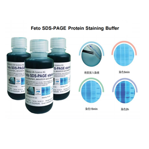 Feto SDS-PAGE染色液  Feto Protein Staining Buffer