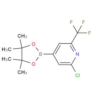 2-氯-6-(三氟甲基)吡啶-4-硼酸频哪醇酯