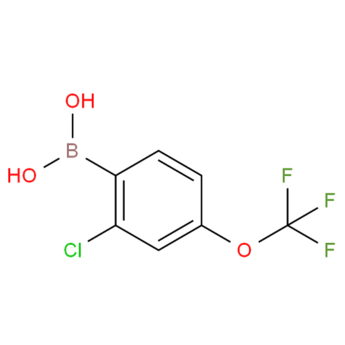 2-氯-4-三氟甲氧基苯硼酸,2-CHLORO-4-TRIFLUOROMETHOXYBENZENEBORONIC ACID