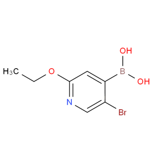5-溴-2-乙氧基砒啶-4-硼酸,5-BROMO-2-ETHOXY-4-PYRIDINEBORONIC ACID
