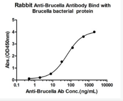 Anti-Brucella antibody-布氏杆菌抗体,Brucella