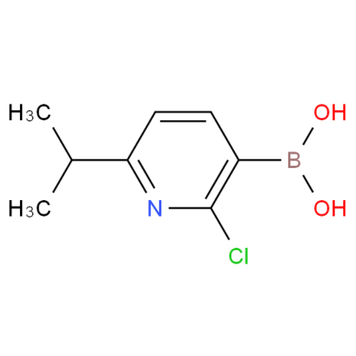 2-氯-6-异丙基吡啶-3-硼酸,2-CHLORO-6-ISOPROPYLPYRIDINE-3-BORONIC ACID