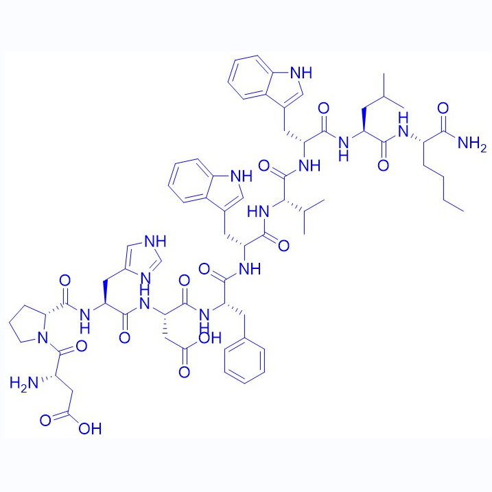 神經(jīng)激肽B受體激動(dòng)劑改造多肽[D-Pro2,D-Trp6,8,Nle10]-Neurokinin B,D-Pro2,D-Trp6,8,Nle10]-Neurokinin B