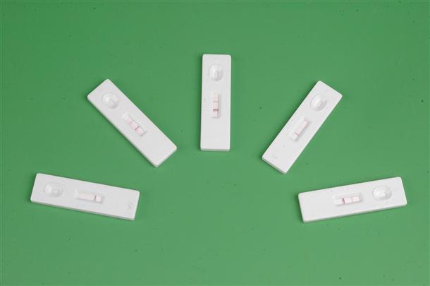 BinaxNow疟原虫抗原检测试剂盒,Malaria pf.pv  Antigen Test