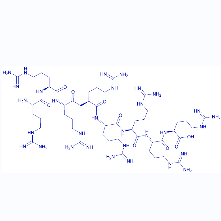八聚精氨酸,Octaarginine