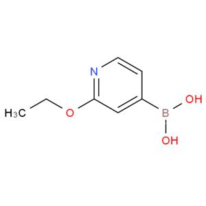 2-乙氧基吡啶-4-硼酸,2-ETHOXY-4-PYRIDINYLBORONIC ACID