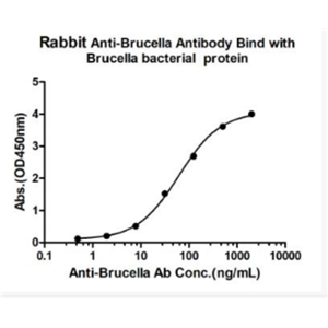 Anti-Brucella antibody-布氏杆菌抗体,Brucella