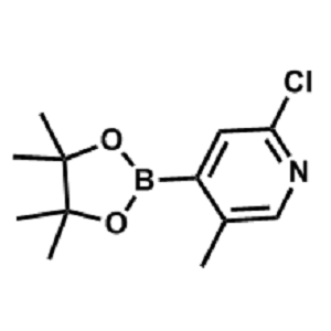 2-氯-5-甲基-4-(4,4,5,5-四甲基-1,3,2-二氧硼杂环戊烷-2-基)吡啶