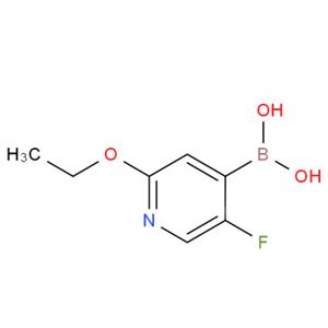 (2-乙氧基-5-氟吡啶-4-基)硼酸