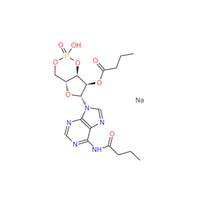 二丁酰環(huán)磷腺苷鈉