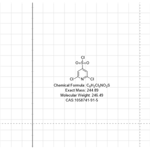 2,6-dichloropyridine-4-sulfonyl chloride(WX192261)