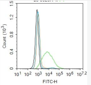 Anti-MAS1 antibody-MAS1癌基因抗體,MAS1