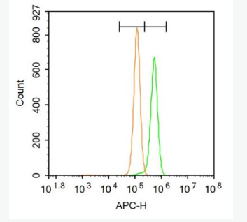 Anti-DAB2 antibody-信号转导功能磷蛋白DAB2抗体,DAB2