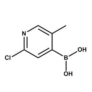 2-氯-5-甲基吡啶-4-硼酸