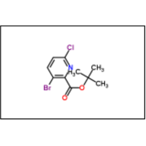 3-溴-6-氯吡啶甲酸叔丁酯