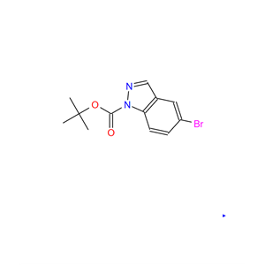 5-溴-1H-吲唑-1-甲酸叔丁酯