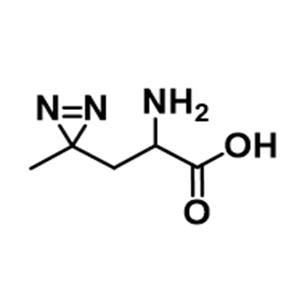 Me-Diazirine-Alanine，851960-84-4，甲基-双吖丙啶-丙氨酸，交联剂定制