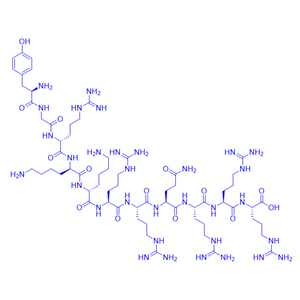 转录反式激活因子多肽TAT,HIV-1 tat Protein (47-57)
