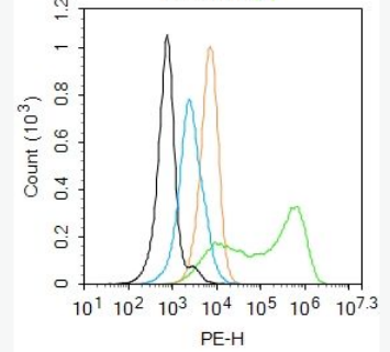 Anti-phospho-TIRAP (Tyr86) antibody-磷酸化白细胞介素1受体衔接蛋白抗体,phospho-TIRAP (Tyr86)