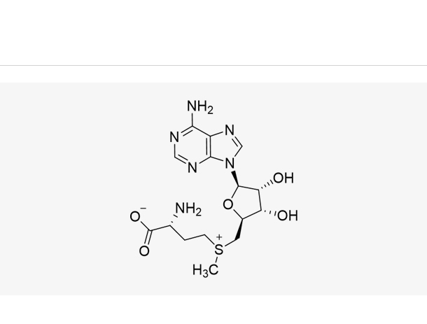 SAM,S-adenosylmethionine(SAM)