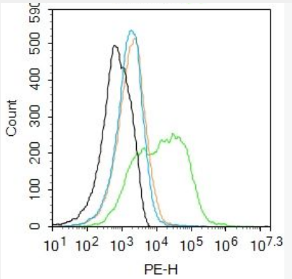 Anti-PROCR antibody-內(nèi)皮細(xì)胞活化蛋白受體（CD201）抗體,PROCR