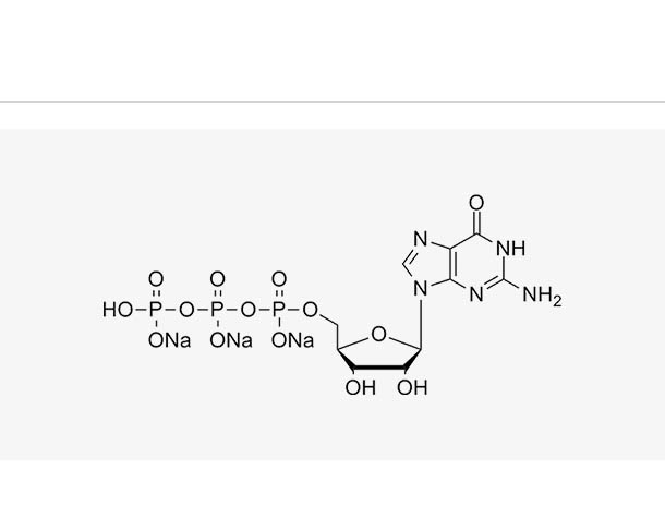 GTP sodium solution (100 mM),GTP sodium solution