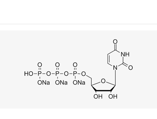 UTP sodium solution,UTP sodium solution