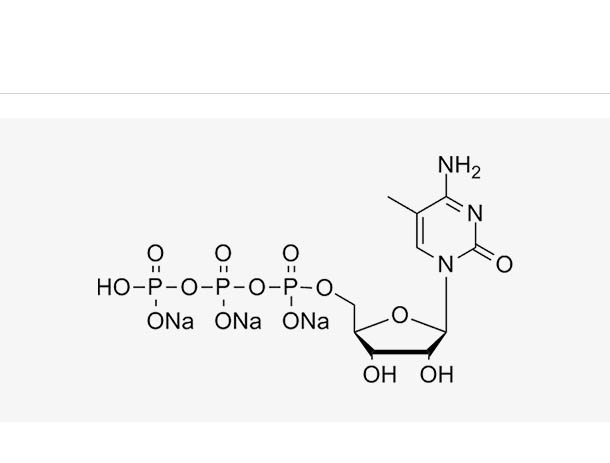 5-Me-CTP,5-Me-CTP