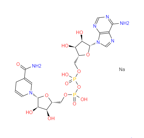 β-烟酰胺腺嘌呤二核苷酸二钠,NADH, disodium salt