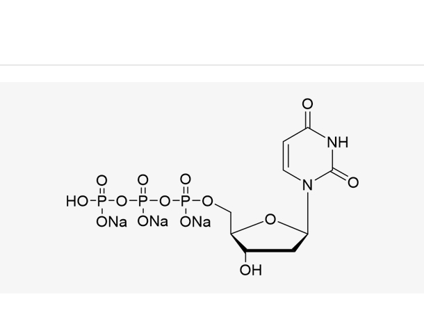 dUTP Sodium Salt Solution(100 mM),dUTP Sodium Salt Solution(100 mM)